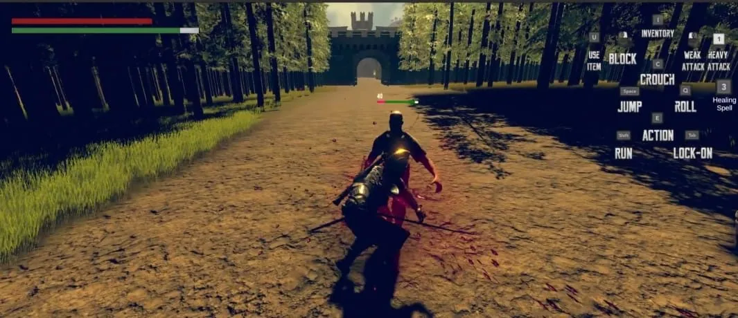 Fighting a bandit on the forest road to Ogros