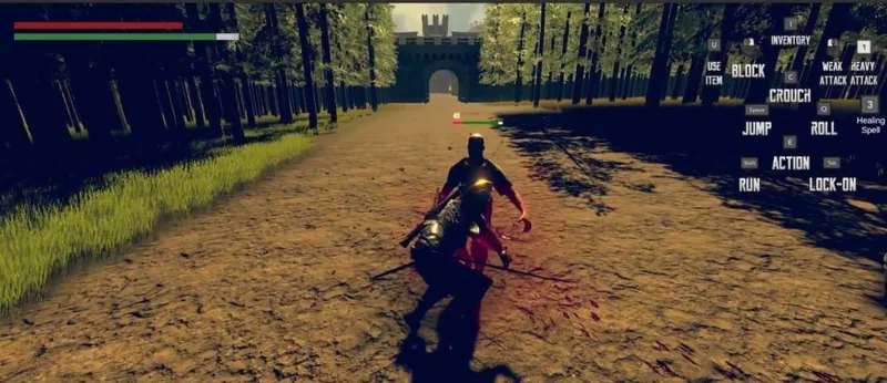 Fighting a bandit on the forest road